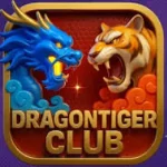 Dragon Tiger Club