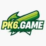 pk6-game