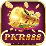 pkr 888 game